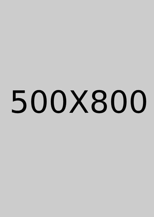 500X800