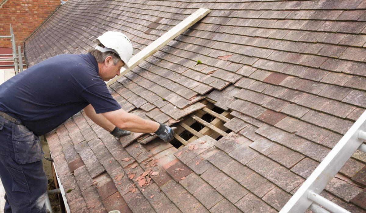 roof replacement