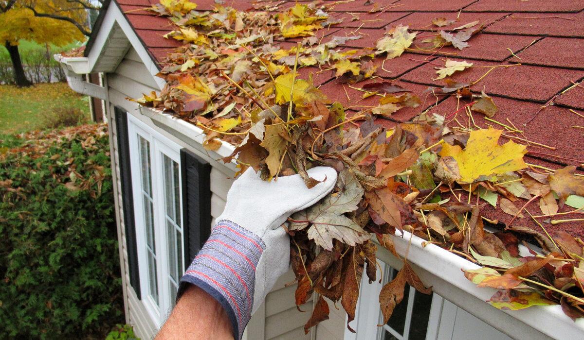 cleaning gutters