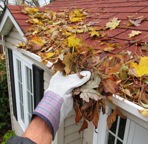 cleaning gutters