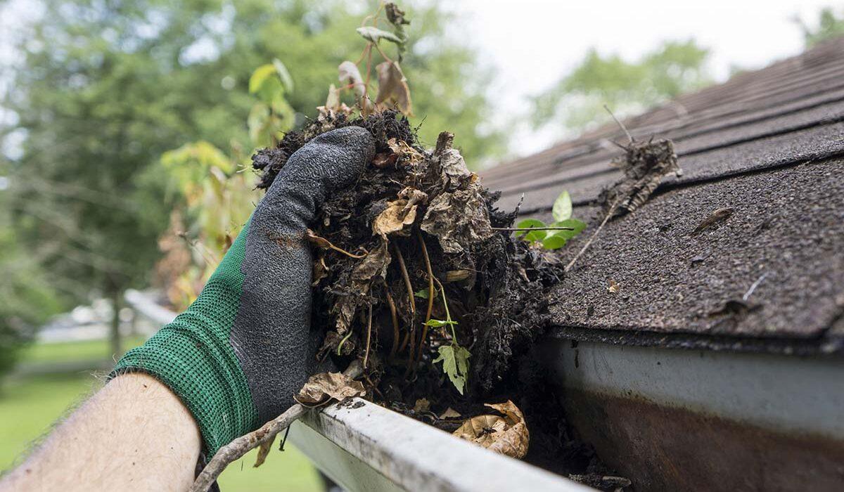 clogged gutters