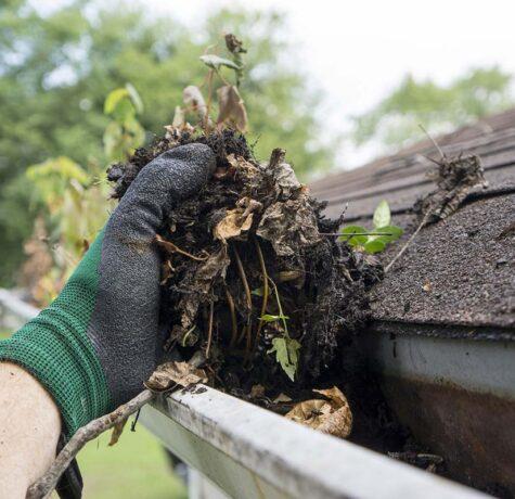 clogged gutters