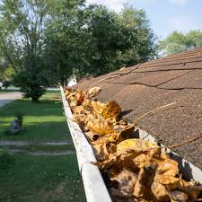 leaves in gutter