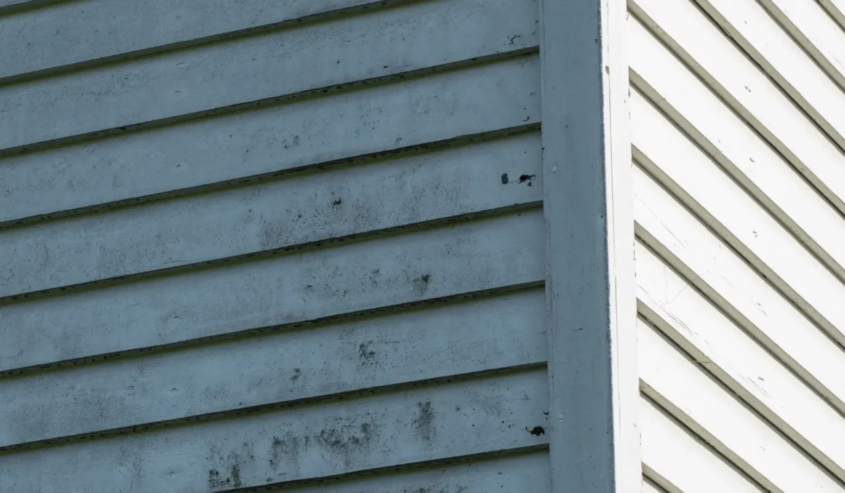 water-damage-siding