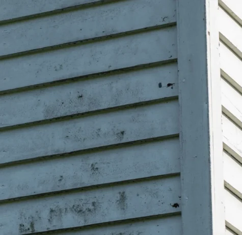 water-damage-siding