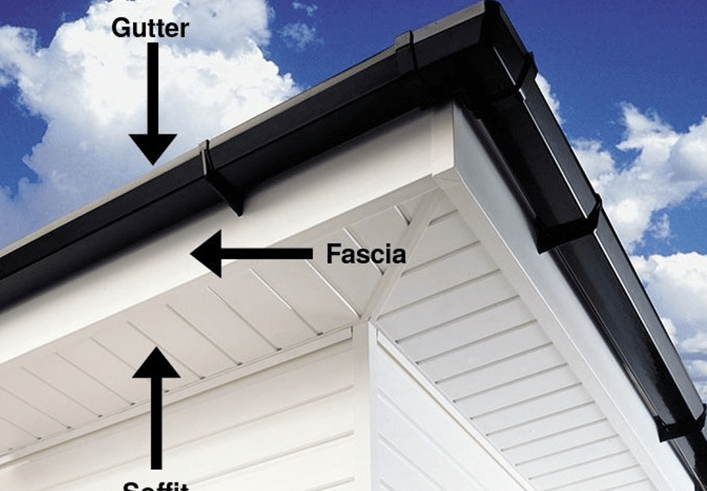 Fascia