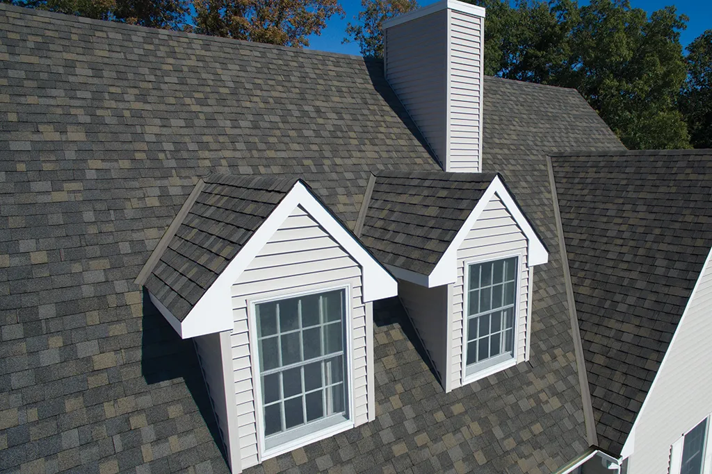 roofing shingles