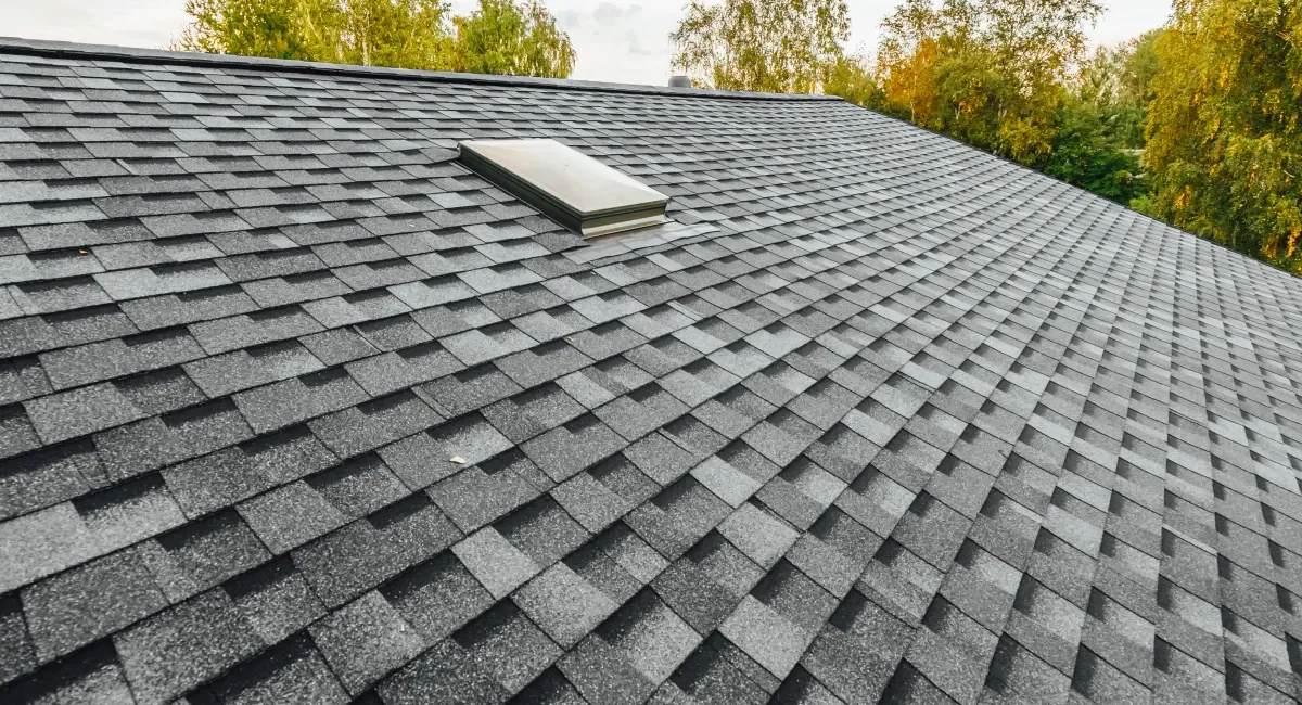 Shingle Roof