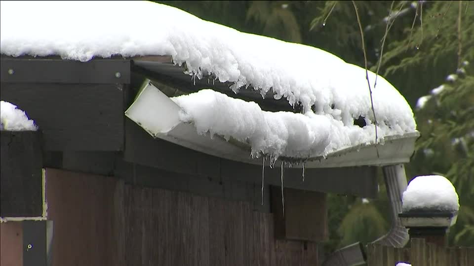 ICE DAMAGE TO GUTTER