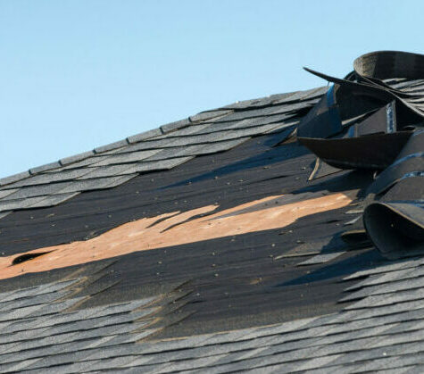 Wind Damage