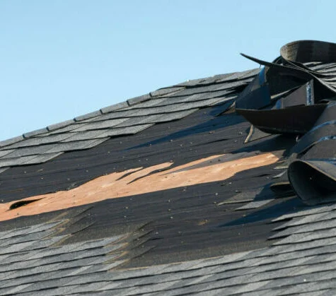 Wind Damage