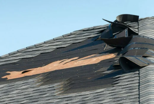 Wind Damage