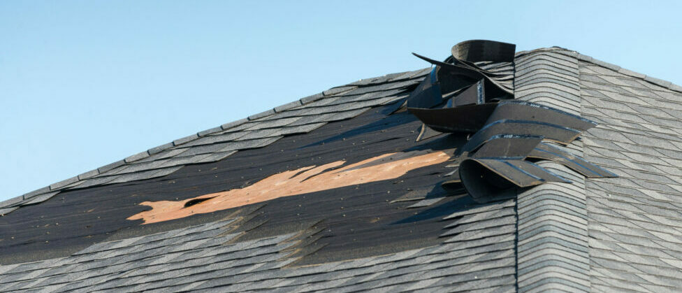 Wind Damage